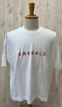 画像をギャラリービューアに読み込む, A PIECE OF LIBRARY エメラルドワイドT
