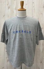 画像をギャラリービューアに読み込む, A PIECE OF LIBRARY エメラルドワイドT
