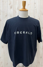 画像をギャラリービューアに読み込む, A PIECE OF LIBRARY エメラルドワイドT
